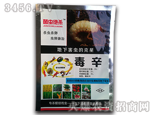 5%�������w����-���x�^��-���r(n��ng)�I(y��)