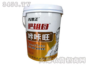 ����ĸ����-�����r�I(y��)