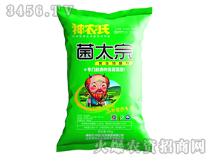 40kg΢�������-��̫��-���r��