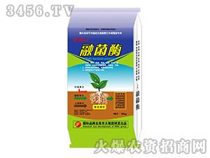 �ɛ_ʩ�������-�ھ�ø-�����r��