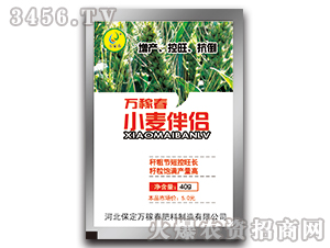 С����H-�f(w��n)�ڴ�