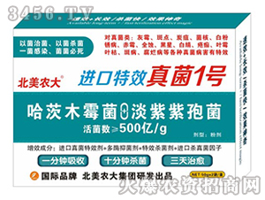 �M�����1̖-�����r(n��ng)��