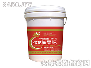 ΢�������-�������L-��������