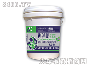 ���ܺ����-�������L(f��ng)-��������