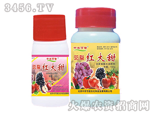 �~���-���Ѽt����-���r(n��ng)����