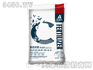 40kg���������͸�����(f��)�Ϸ�28-6-6-�f�،�-��ʢ�ʘI(y��)