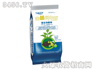 ΢�������-�������Դ-���r����