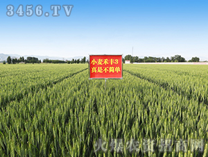 ���S3̖��һ��