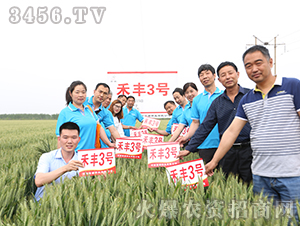 ���S3̖(h��o)������