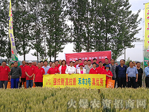 ���S3̖(h��o)������