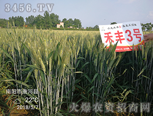 ���S3̖(h��o)���ģ�