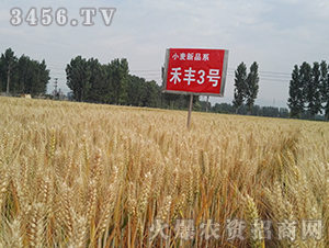 ���S3̖(h��o)���壩