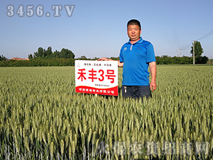 ���S3̖(h��o)������