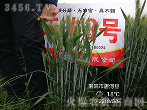 ���S3̖(h��o)���ߣ�