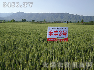 ���S3̖(h��o)���ˣ�