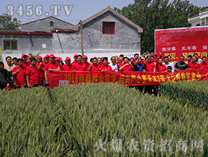 ���S3̖(h��o)���ţ�