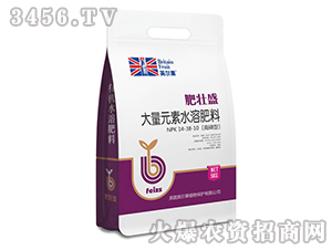 �����ʹ���Ԫ��ˮ�ܷ���14-38-10-�ʉ�ʢ-Ӣ����