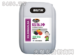 ������΢�������-�����_-������