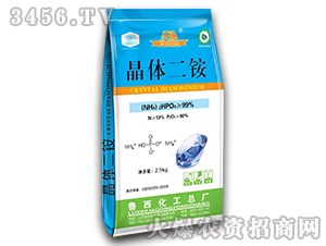 ��ꖌ�ϵ�о��w���@-����-��������