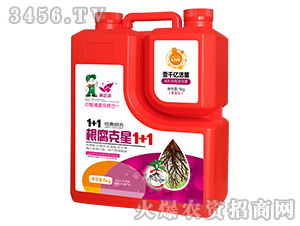 ��������1+1-�����_(d��)�r(n��ng)