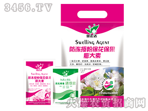 �~���-�����ڷ۱������������-�����_�r(n��ng)