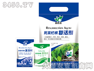 �~���-���砀���ͻ-�����_�r(n��ng)