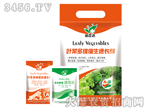 �~���-�~�˶�S�������L��-�����_�r(n��ng)