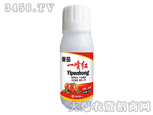 ����һ���t-���䌍(sh��)�I(y��)