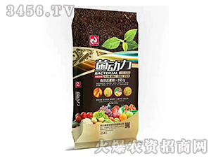 �����ЙC(j��)����-������-����