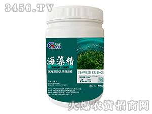 500g���徫-�ŵ�-��ķɳ