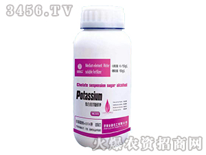 ���ϑҸ��Ǵ��-��Ȫ����