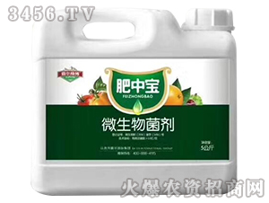 ΢�������-���Ќ�-�Ԡ��G��