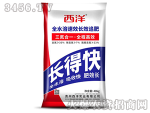 �ͺϷ���-�L�ÿ�-���󌍘I(y��)