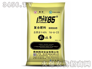 �ͺϷ���16-6-23-����85-����