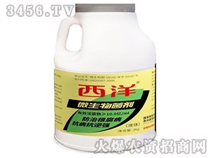 3kg΢�������-����-����(sh��)�I(y��)