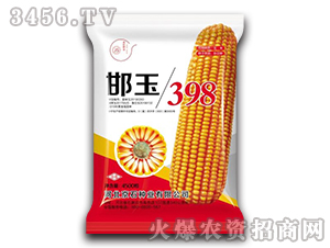 邯玉398（4500粒）-玉米種子-京石種業(yè)