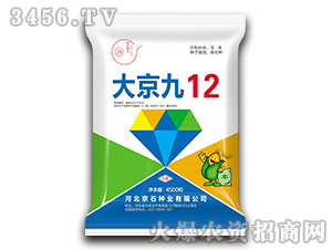 大京九12-玉米種子-京石種業(yè)