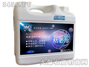 �ݲ�ѿ�ߗU��-�ݱ���-����