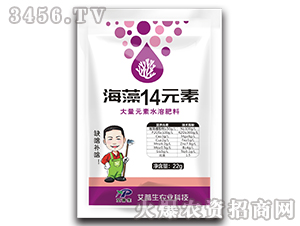 ����14Ԫ��-������