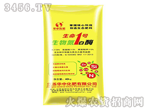 ���ﵪø��-����һ̖-�A�л���