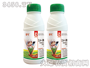 2��4-�ή�����-��ؤ-ͬ�S����