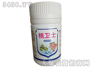 ���z�����Ú�����-���l(w��i)ʿ-�Z������