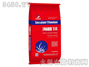 ��ֲ�-������