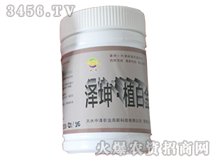 澤坤植白金-中澤-中澤農業(yè)