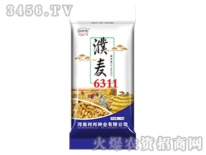 ���6311-С���N��-���N�I(y��) 