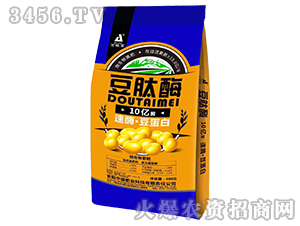 ΢�������-10�|������ø�f�،�-��ʢ�ʘI(y��)