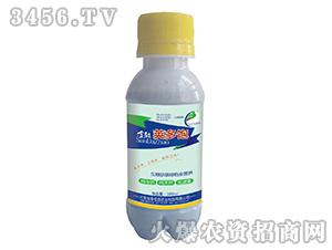 ȫ���v���-��̩���