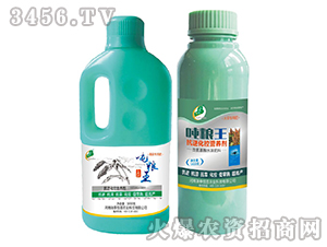 ���������~���-������-��̩���