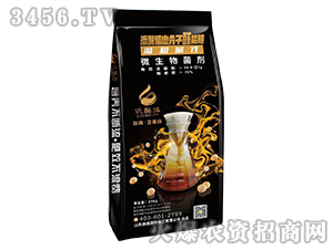 �غ͉A��΢�������-����