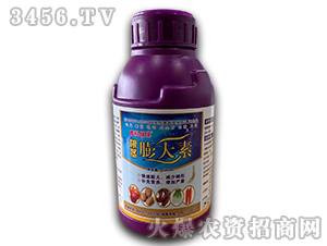 500ml���o�����-�ο�ֲ��